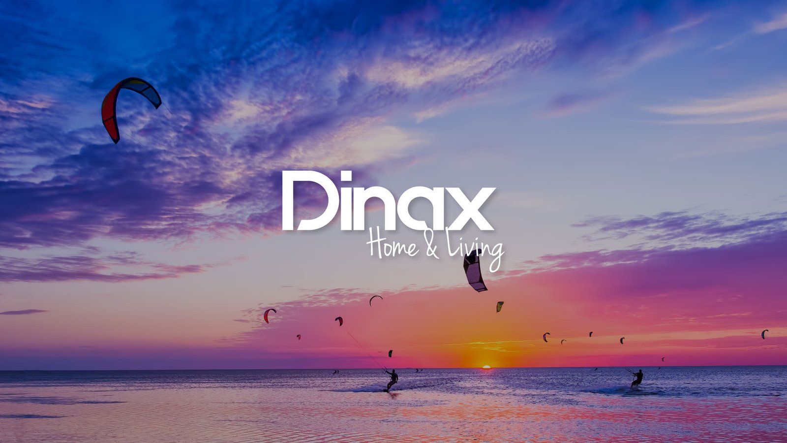 DINAX